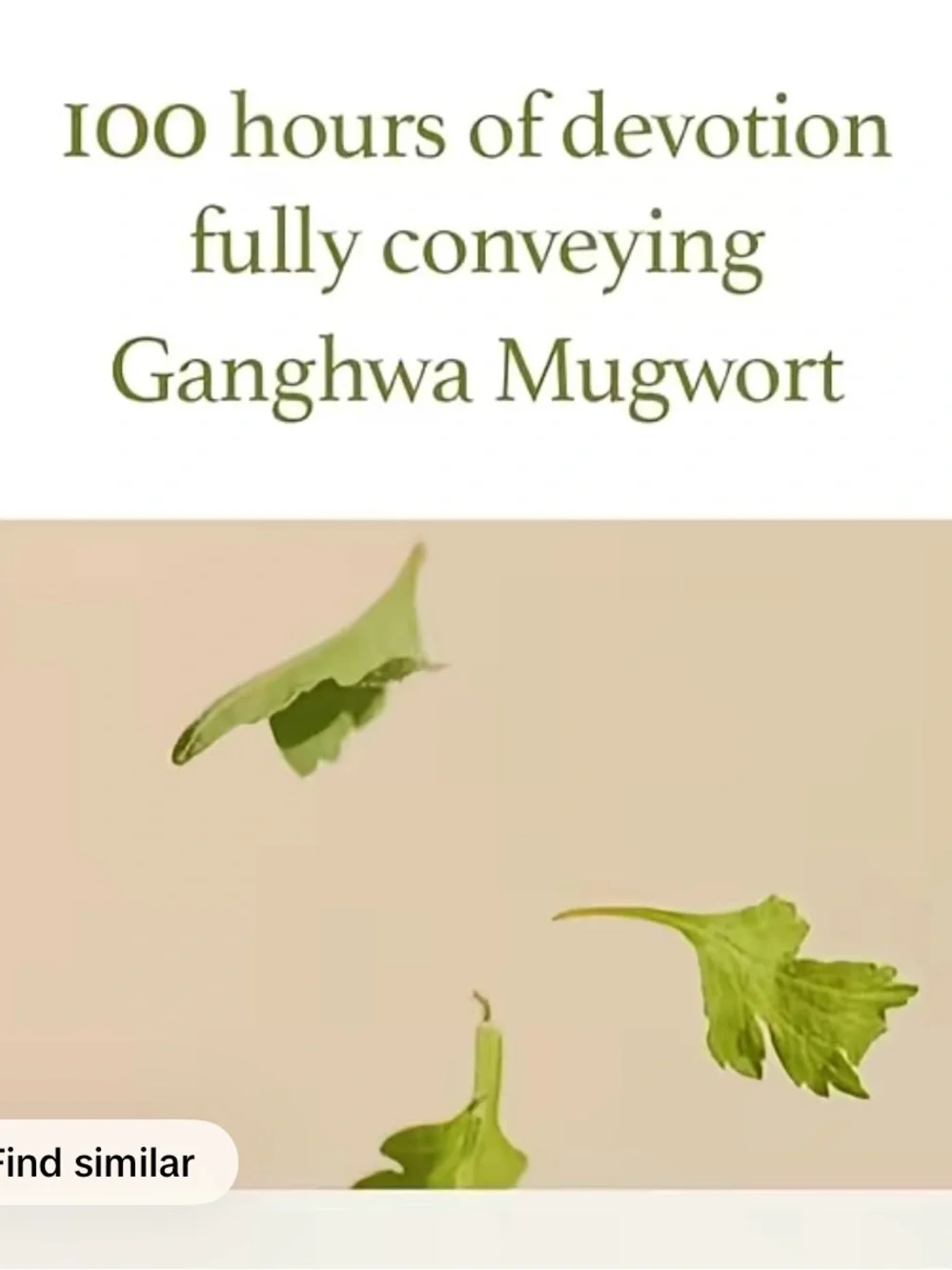 Mugwort Gel Cleanser - White